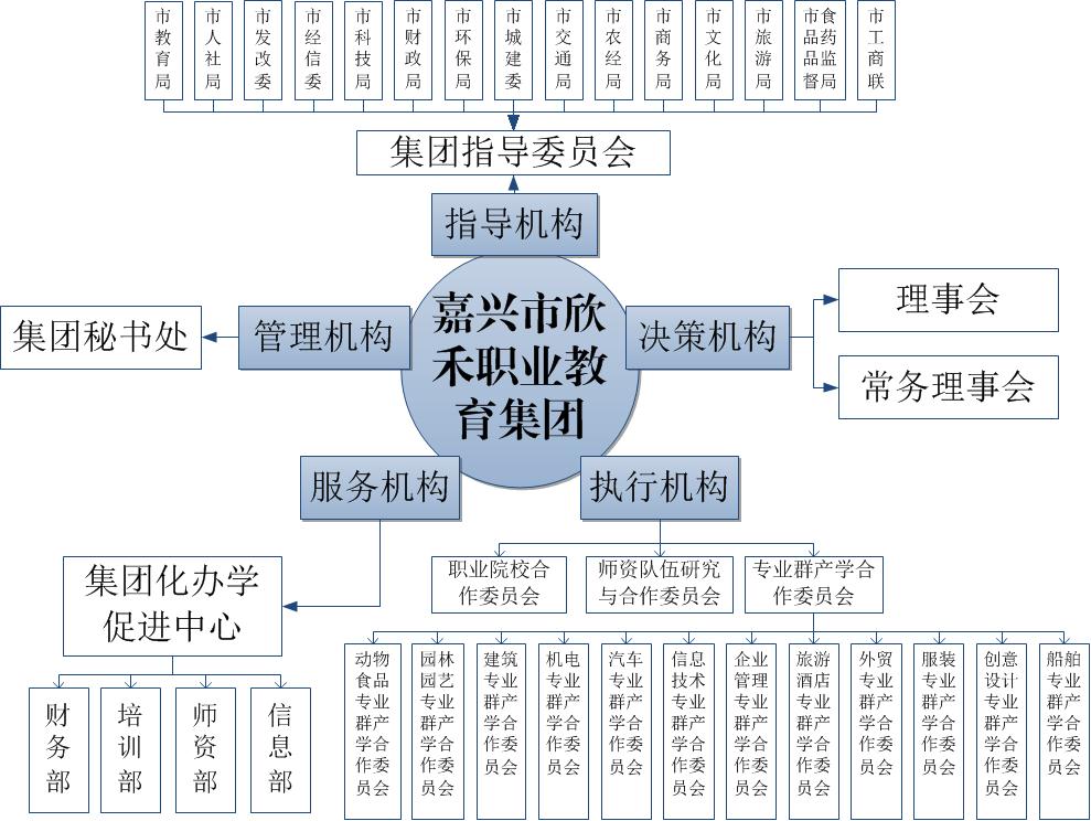 集团组织结构